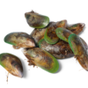 afbeelding van green lipped mussels